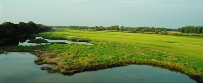 consultoría medioambiental